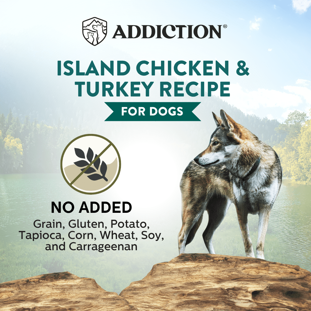 Wild Islands Island Chicken & Turkey Recipe Premium Grain-free Canned Dog Food 185g Addiction Pet Foods USA