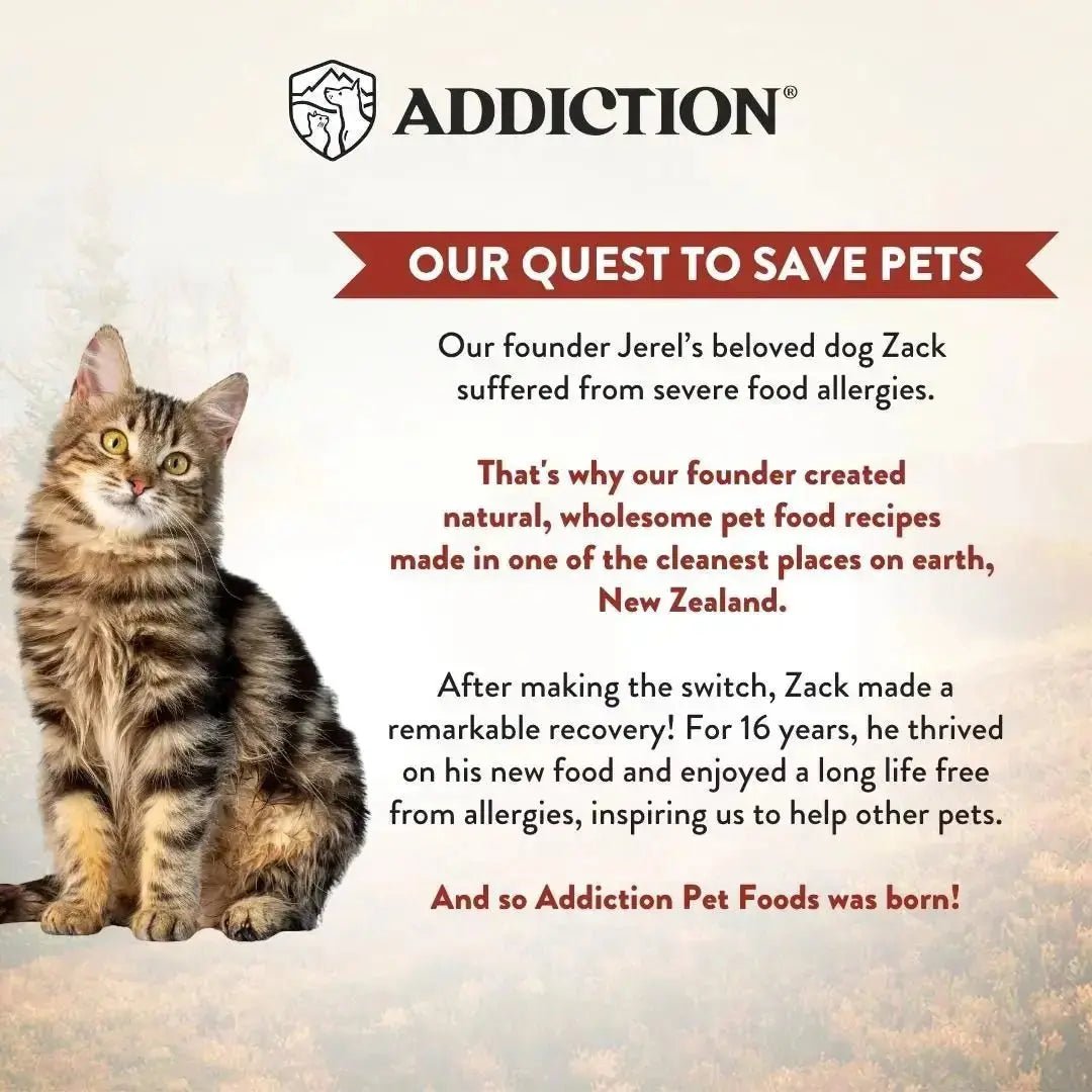 Wild Islands New Zealand Venison Recipe Premium Grain-free Canned Cat Food 85g Addiction Pet Foods USA