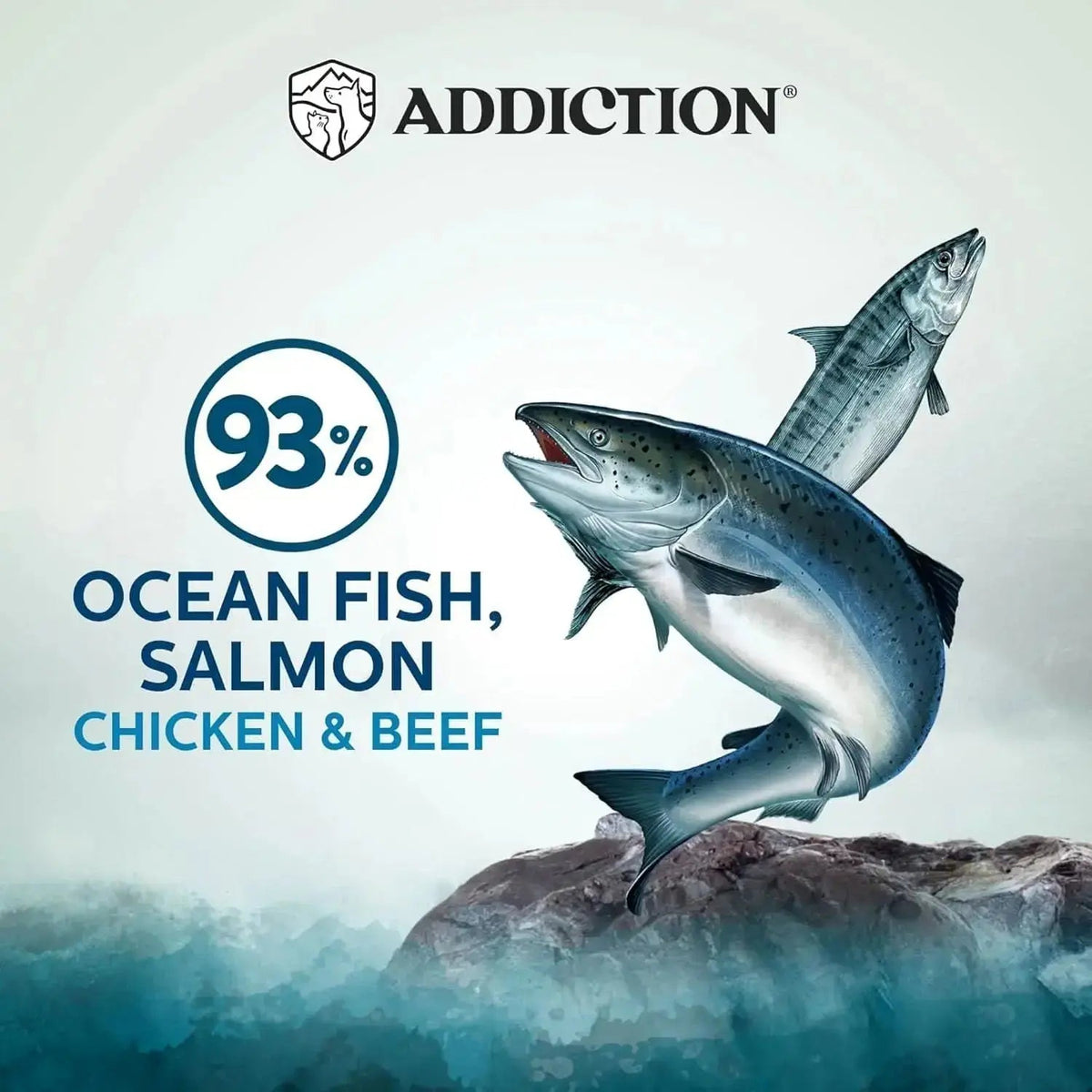 Wild Islands Pacific Catch Premium Ocean Fish & Salmon Grain-Free Canned Cat Food Addiction Pet Foods USA