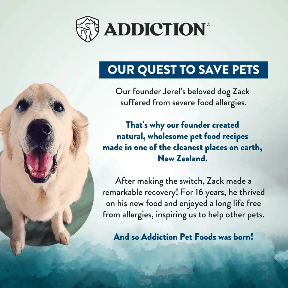 Wild Islands Pacific Catch Premium Ocean Fish & Salmon Grain-Free Canned Cat Food Addiction Pet Foods USA