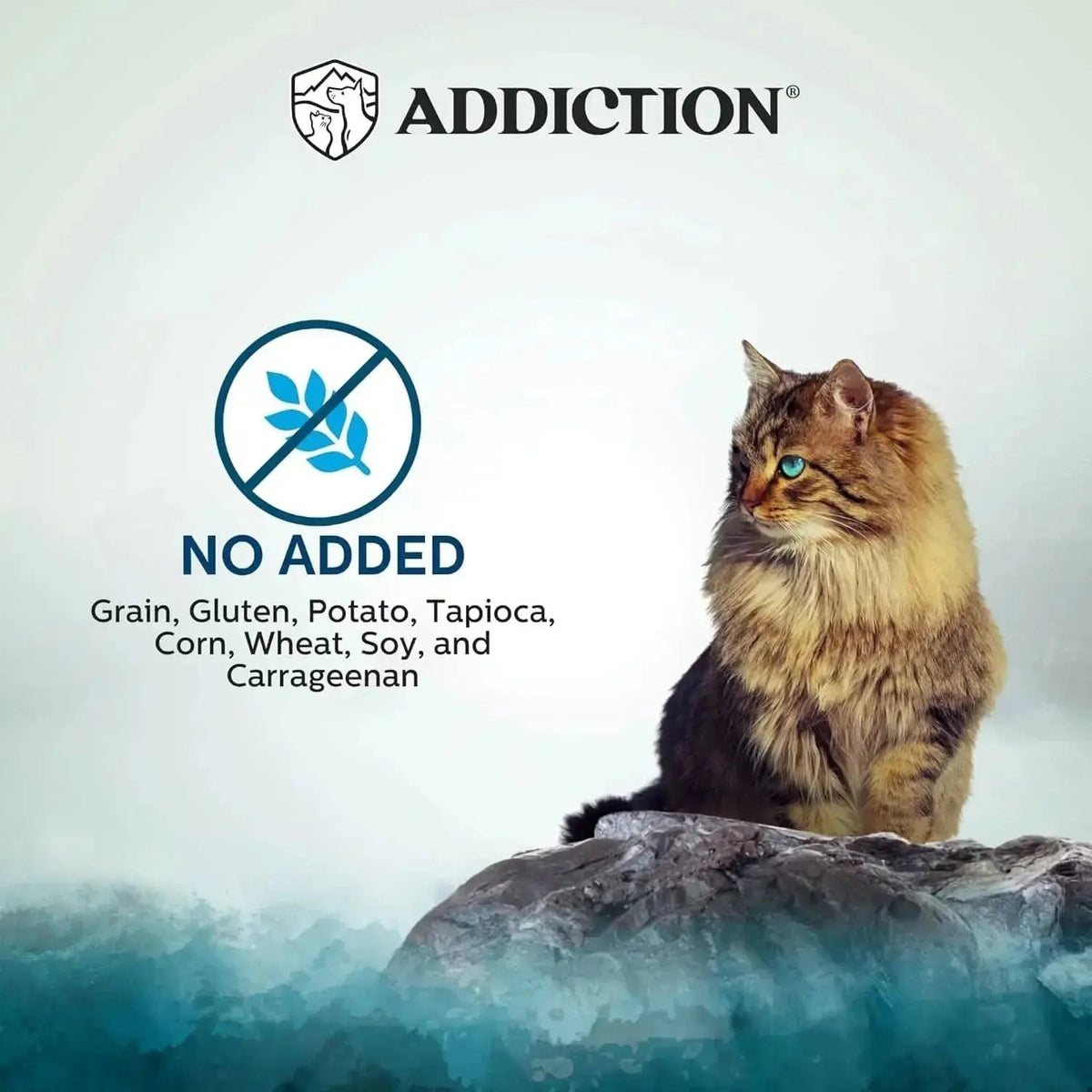 Wild Islands Pacific Catch Premium Ocean Fish & Salmon Grain-Free Canned Cat Food Addiction Pet Foods USA