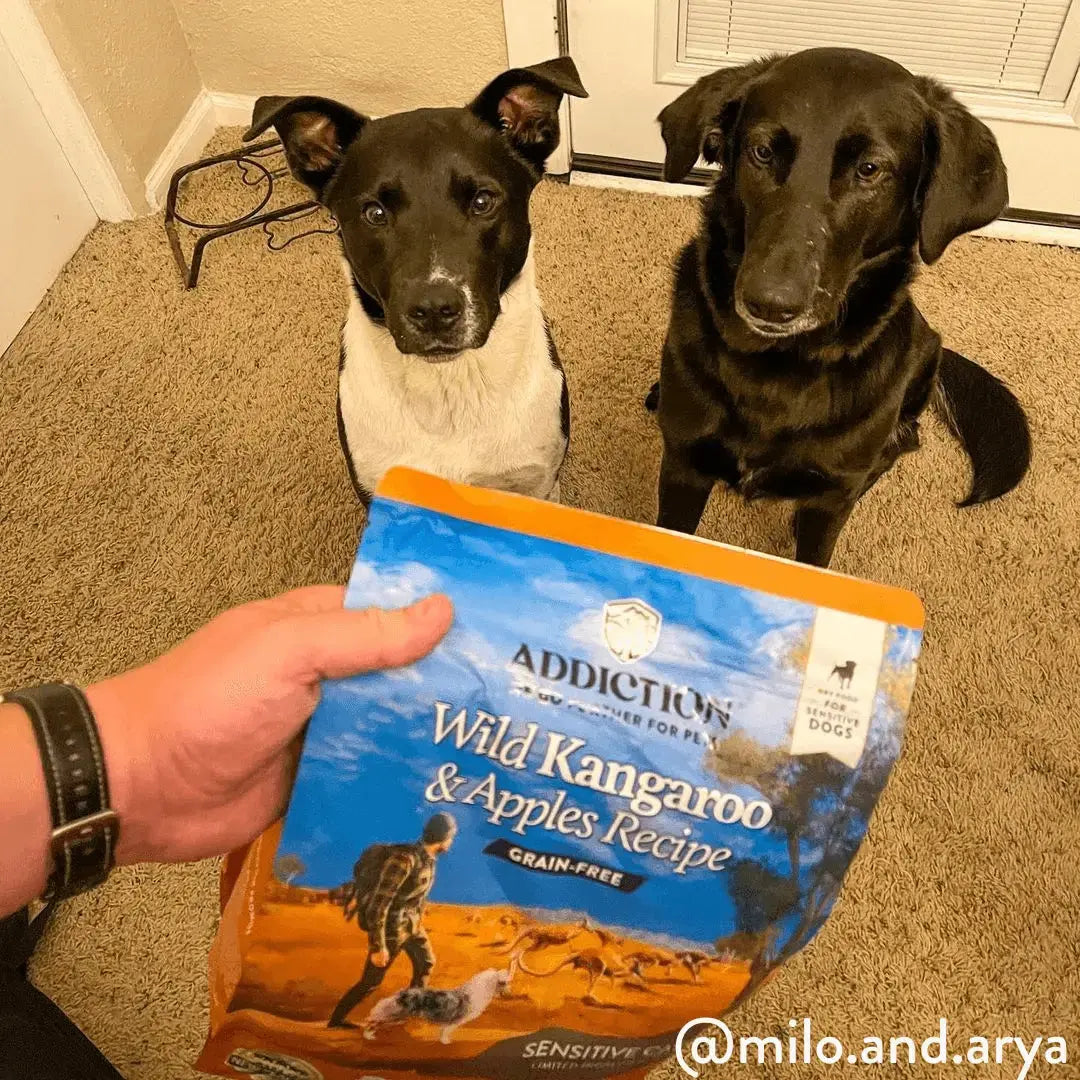 Wild Kangaroo & Apples Recipe Dry Dog Food Addiction Pet Foods USA