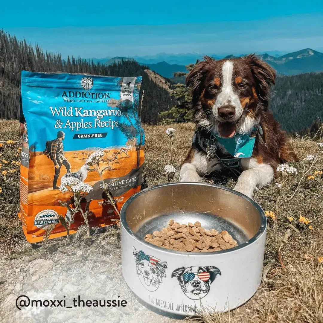 Wild Kangaroo & Apples Recipe Dry Dog Food Addiction Pet Foods USA