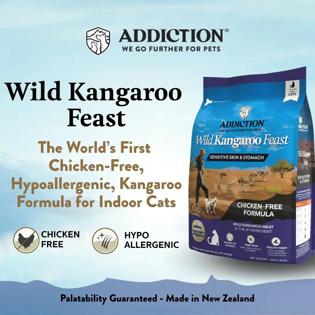 Wild Kangaroo Feast Dry Cat Food Addiction Pet Foods USA