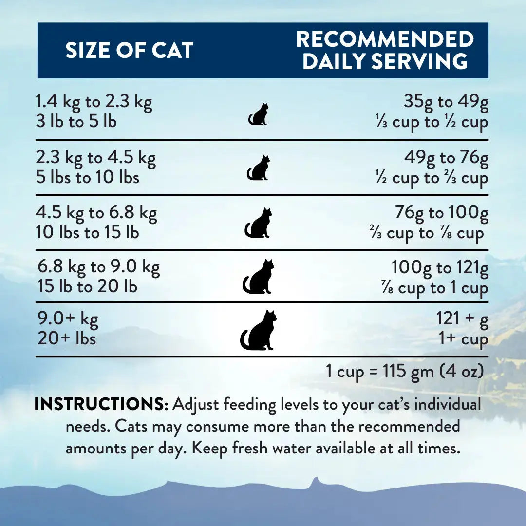 Wild Kangaroo Feast Dry Cat Food Addiction Pet Foods USA