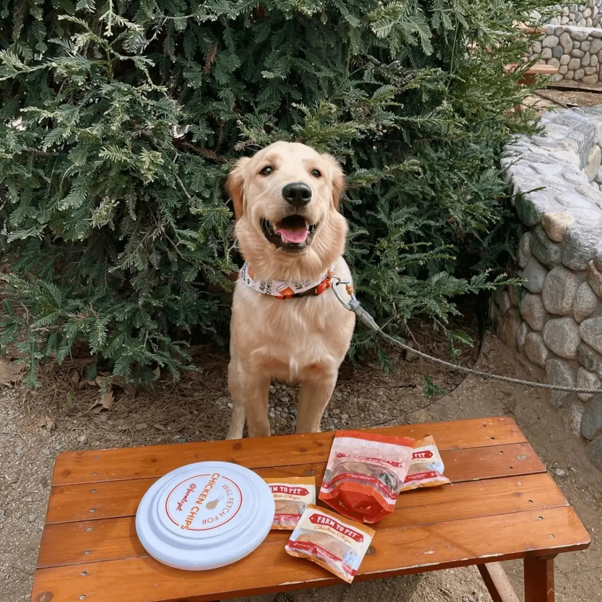 Will Fetch for Chicken Chips Dog Frisbee | Fun Toy for Dogs and Humans - Frisbee