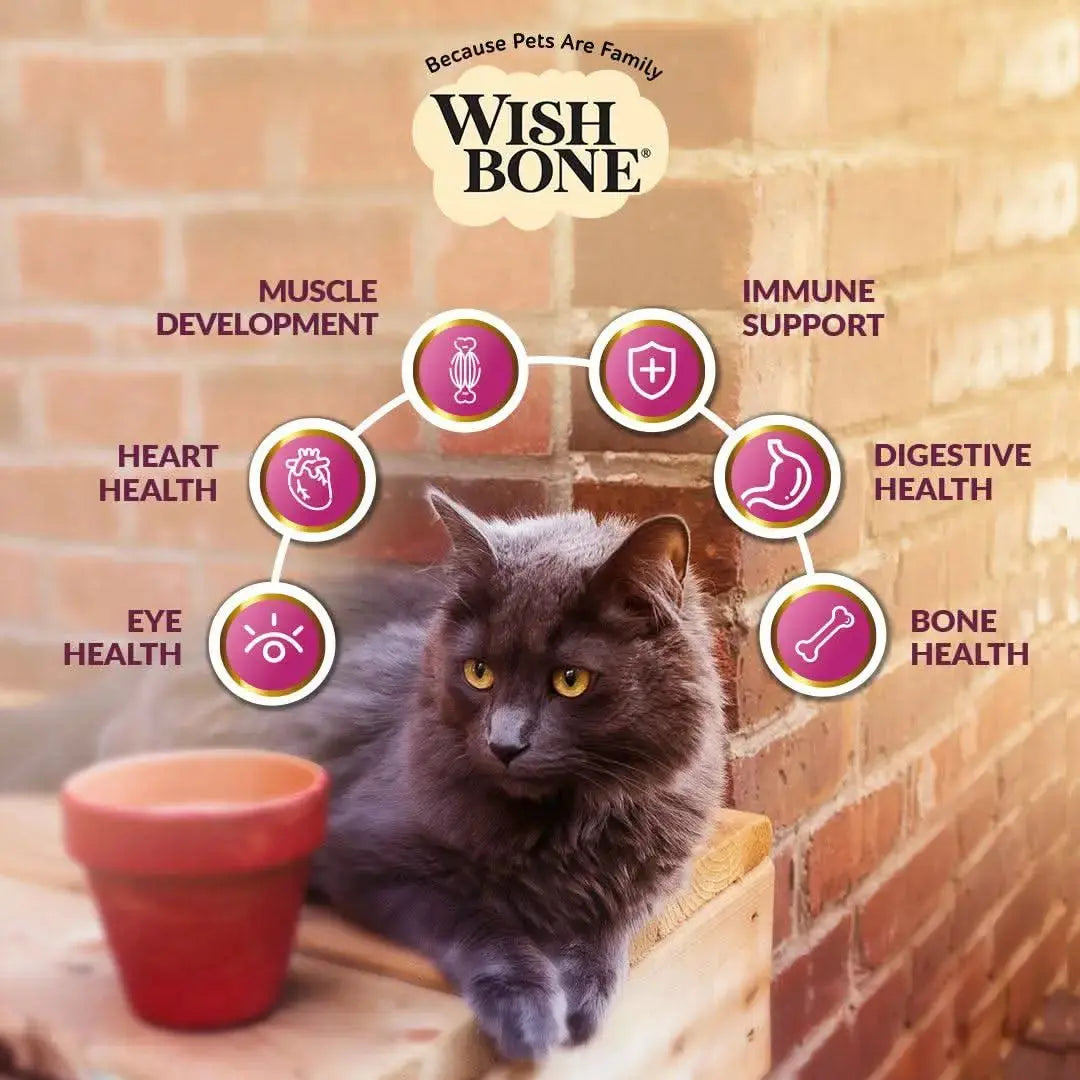 Wishbone Graze Beef and Lamb Dry Cat Food Addiction Pet Foods USA