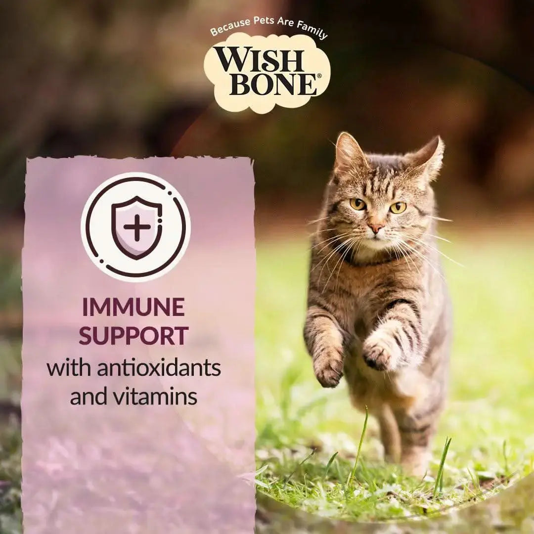 Wishbone Graze Beef and Lamb Dry Cat Food Addiction Pet Foods USA