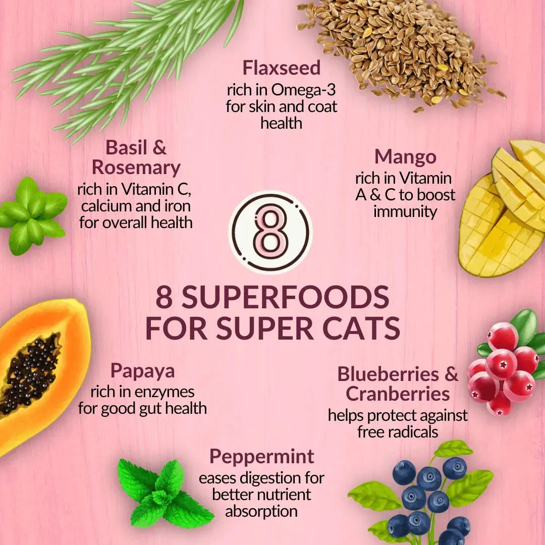 Wishbone Graze Beef and Lamb Dry Cat Food Addiction Pet Foods USA