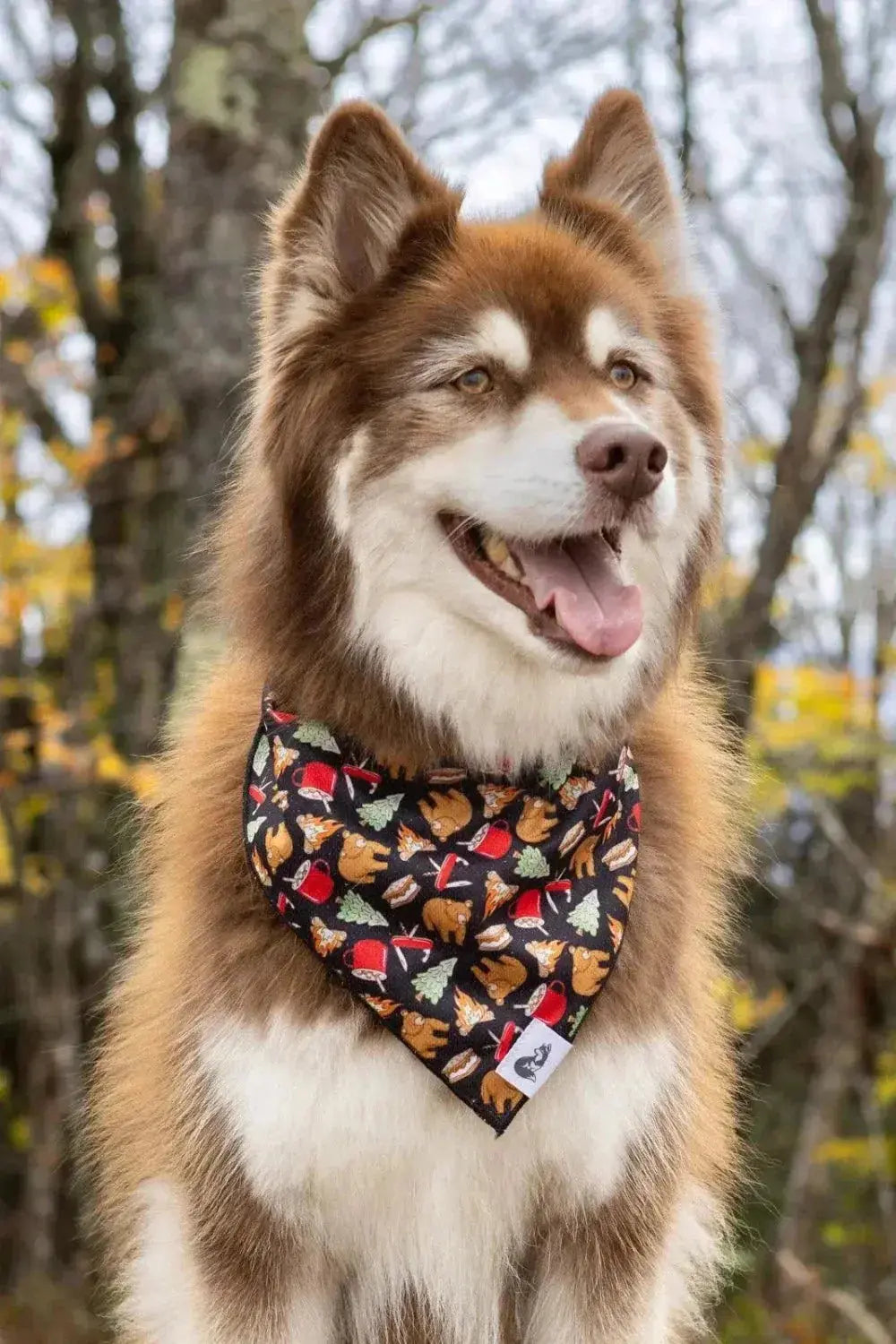 Woodland Tales Dog Bandana - bandana