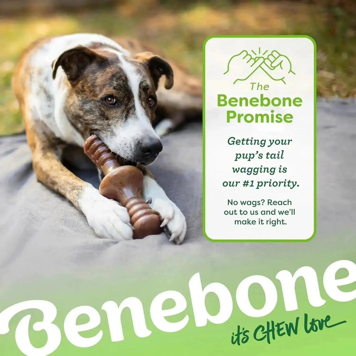 Zaggler Bacon Dog Chew Toy for Aggressive Chewers, Giant - True Pet Market