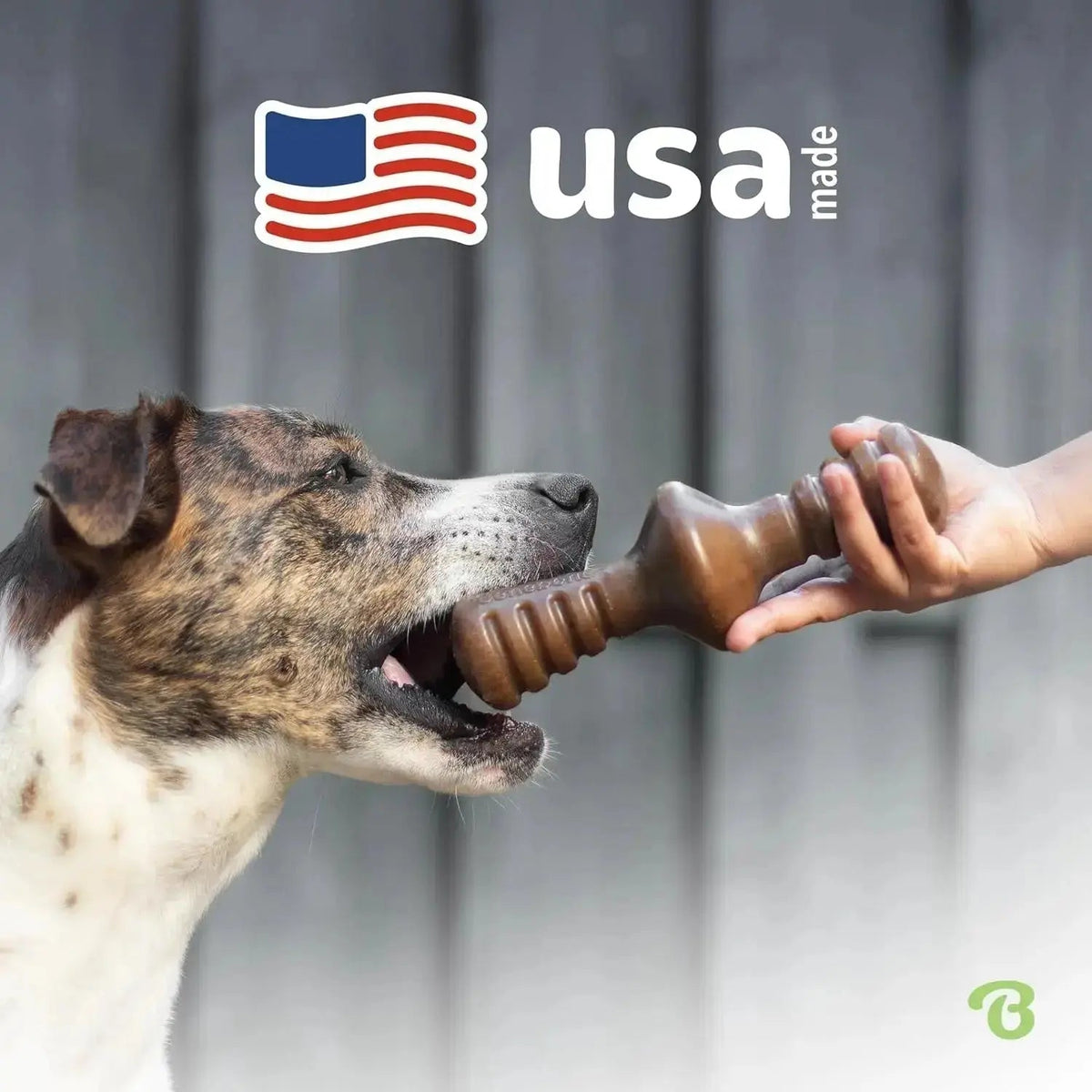 Zaggler Bacon Dog Chew Toy for Aggressive Chewers, Giant - True Pet Market