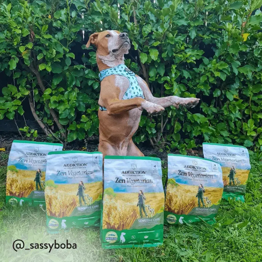 Zen Vegetarian Dry Dog Food Addiction Pet Foods USA
