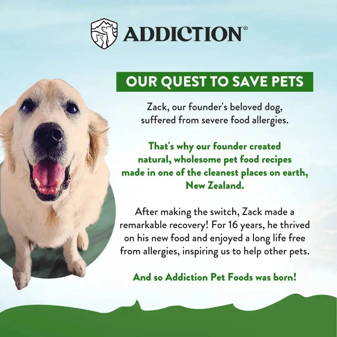 Zen Vegetarian Dry Dog Food Addiction Pet Foods USA
