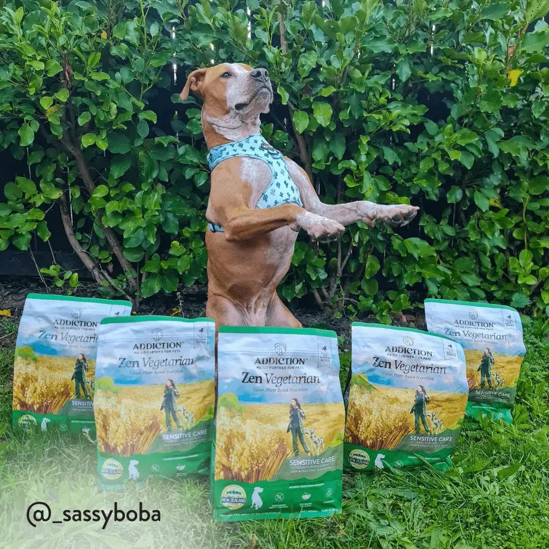 Zen Vegetarian Dry Dog Food Addiction Pet Foods USA