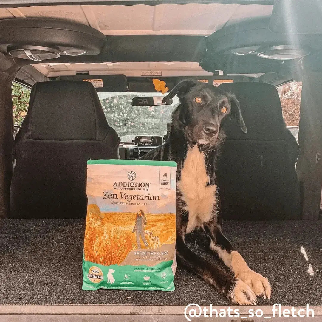Zen Vegetarian Dry Dog Food Addiction Pet Foods USA
