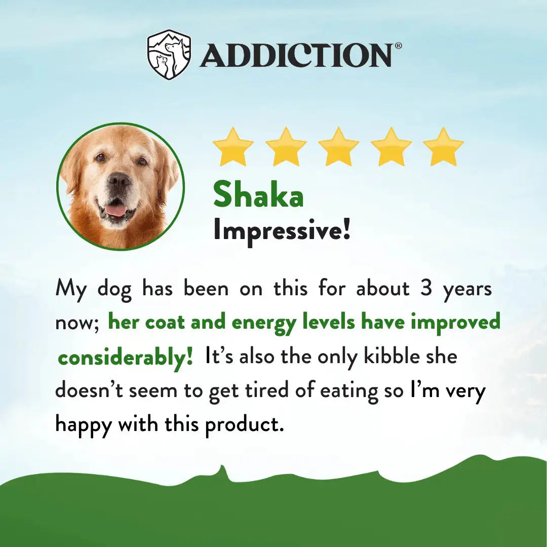 Zen Vegetarian Dry Dog Food Addiction Pet Foods USA