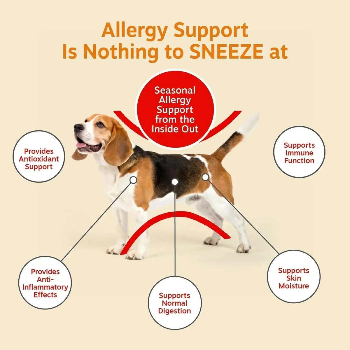 Zesty Paws Dog Allergy Relief- Dog Itching Skin Relief- Dog Probiotics for Itchy Skin and Itchy Ears- Dog Allergy Paw