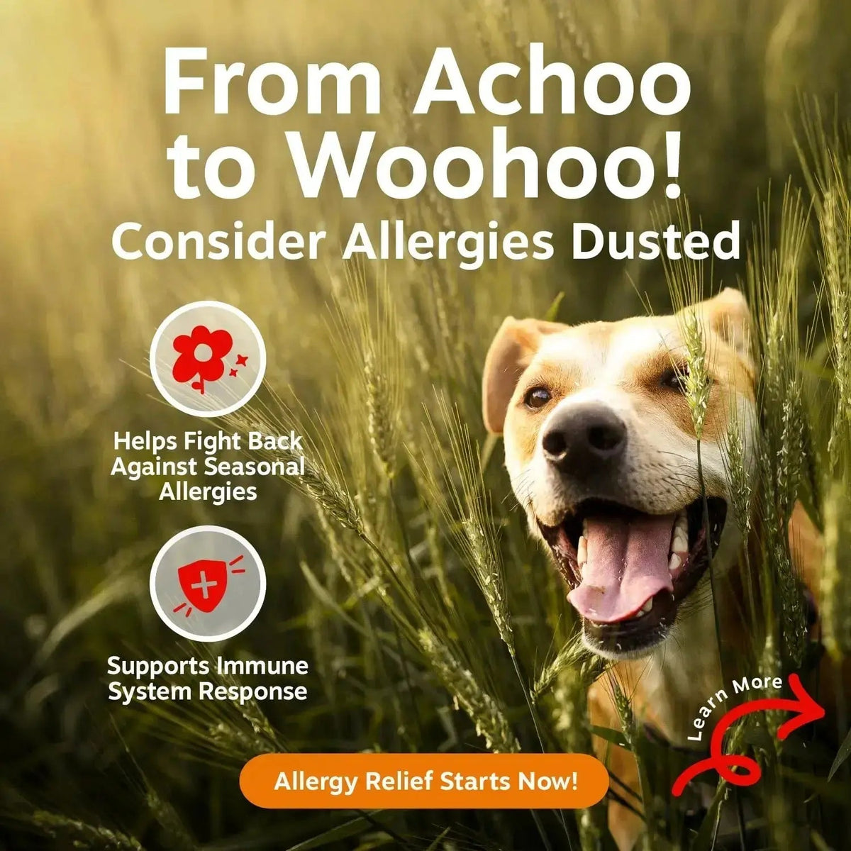 Zesty Paws Dog Allergy Relief- Dog Itching Skin Relief- Dog Probiotics for Itchy Skin and Itchy Ears- Dog Allergy Paw