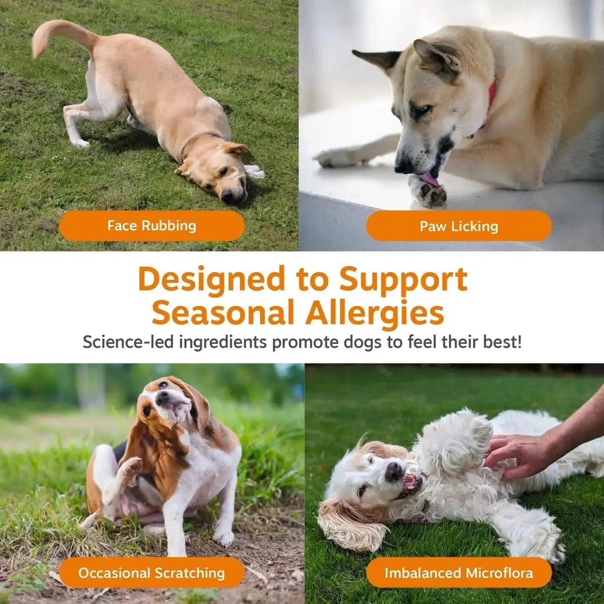 Zesty Paws Dog Allergy Relief- Dog Itching Skin Relief- Dog Probiotics for Itchy Skin and Itchy Ears- Dog Allergy Paw
